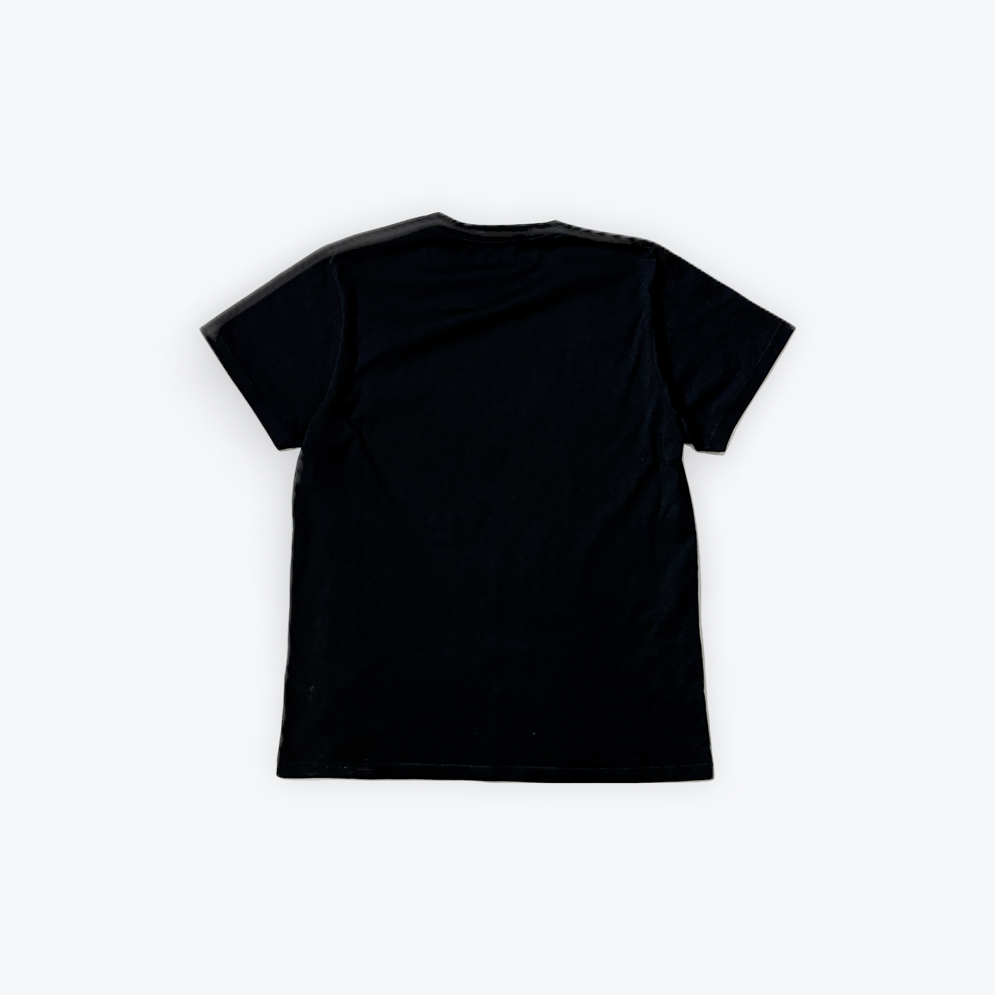 Distorted Eagles T-Shirt